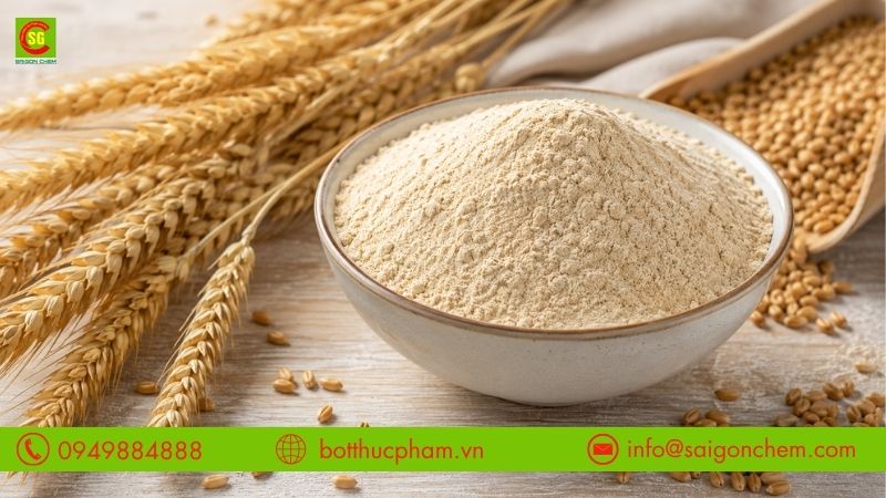 Lưu &yacute; khi mua v&agrave; bảo quản Wheat Gluten