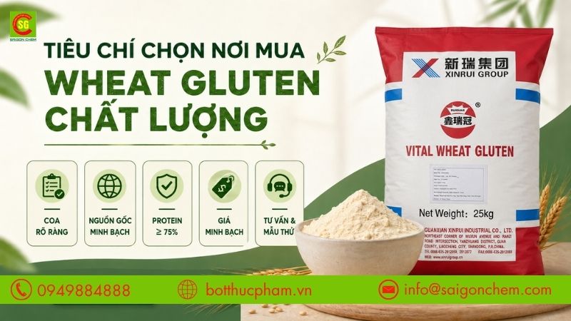 Ti&ecirc;u ch&iacute; chọn nơi mua Wheat Gluten chất lượng