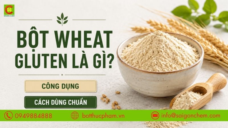 Bột Wheat Gluten Là Gì? Công Dụng Và Cách Dùng Chuẩn Trong Ngành Thực Phẩm
