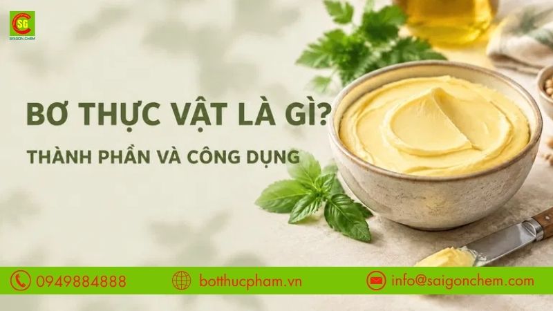 Bơ Thực Vật Là Gì? Nguồn Gốc, Thành Phần Và Công Dụng Trong Thực Phẩm