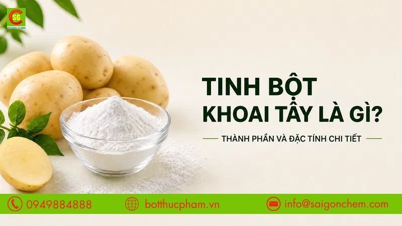 Tinh Bột Khoai Tây Là Gì? Thành Phần, Đặc Tính Và Cách Phân Biệt Chi Tiết