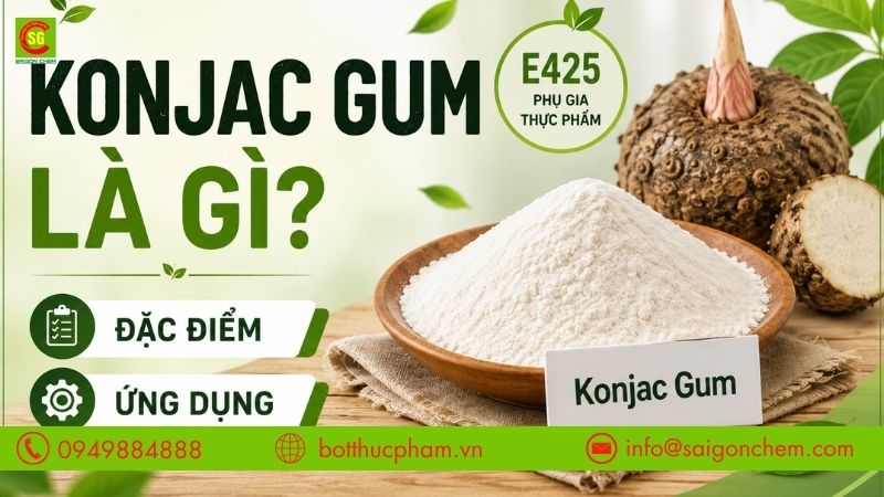 KONJAC GUM LÀ GÌ? ĐẶC ĐIỂM VÀ ỨNG DỤNG TRONG NGÀNH THỰC PHẨM
