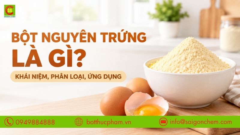 Bột Nguyên Trứng Là Gì? Khái Niệm, Phân Loại Và Ứng Dụng