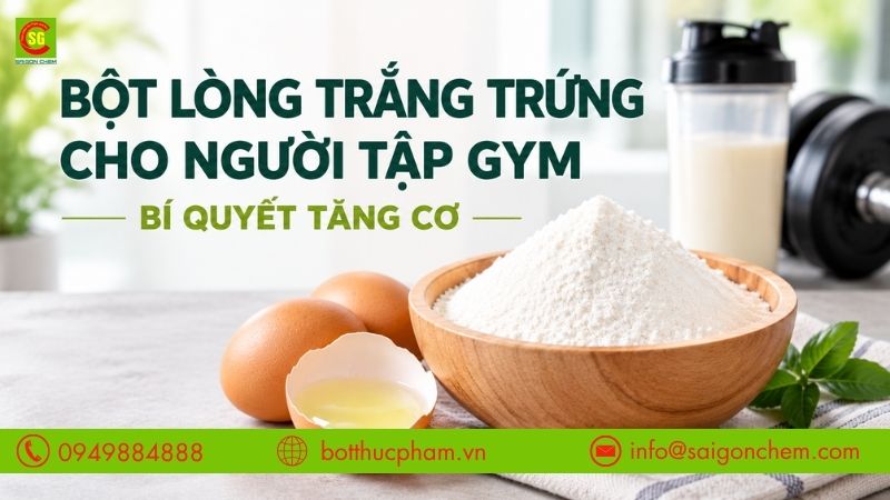 Bột Lòng Trắng Trứng Cho Người Tập Gym – Bí Quyết Tăng Cơ