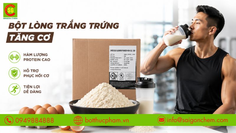 bột lòng trắng trứng tăng cơ