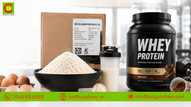 bột lòng trắng trứng và whey protein