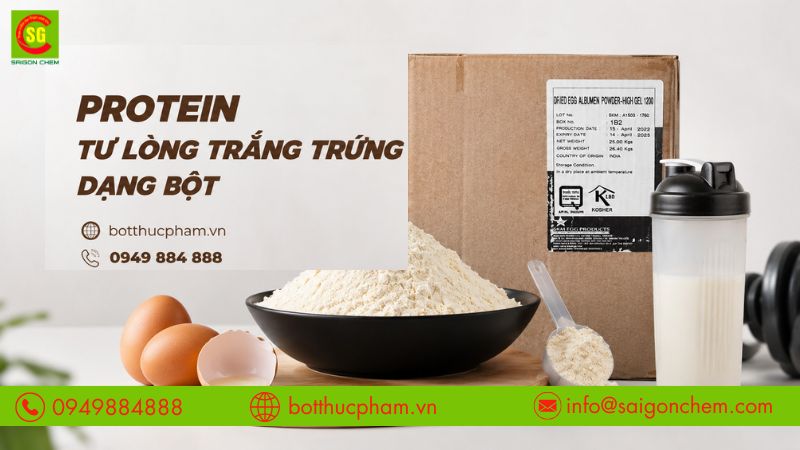 protein từ lòng trắng trứng dạng bột