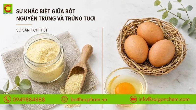Sự Khác Biệt Giữa Bột Nguyên Trứng Và Trứng Tươi, Lựa Chọn Nào Tốt Hơn?