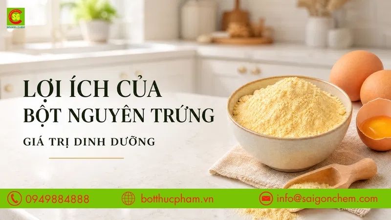 Lợi Ích Của Bột Nguyên Trứng - Nguồn Dinh Dưỡng Cho Mọi Gia Đình