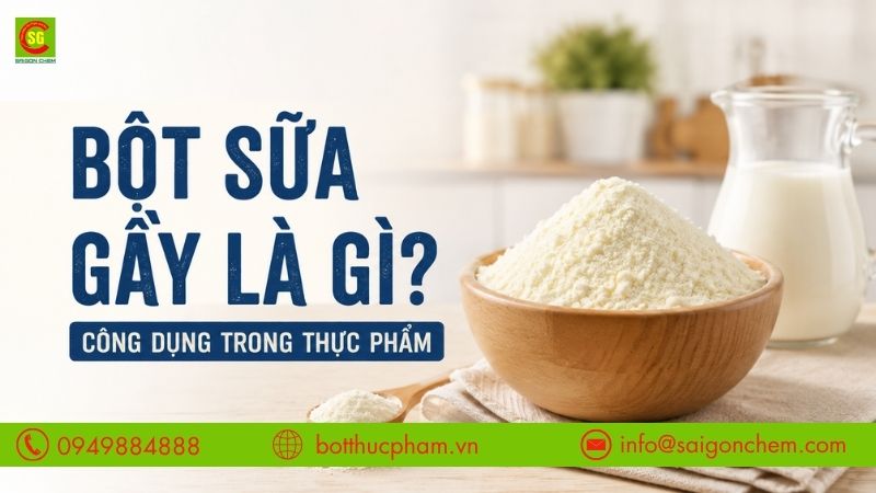 Bột Sữa Gầy Là Gì? Công Dụng Tuyệt Vời Trong Thực Phẩm [2026]