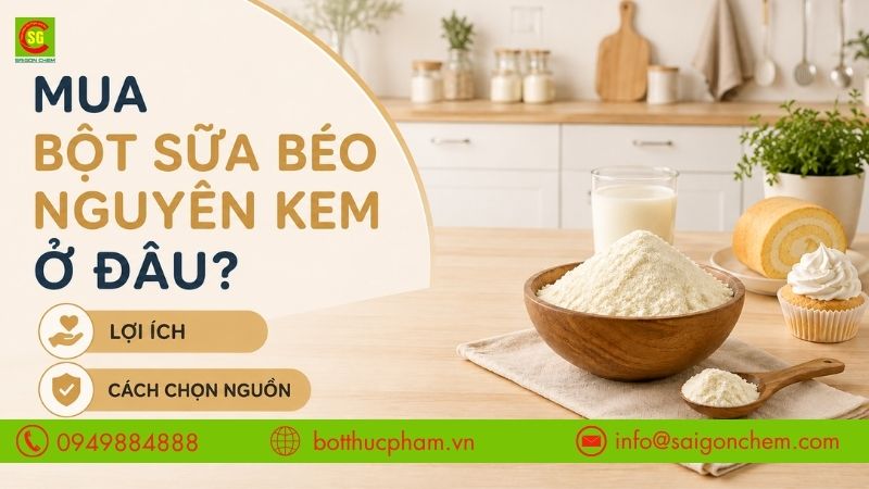 Mua Bột Sữa Béo Nguyên Kem Ở Đâu Uy Tín? Lợi Ích Và Cách Chọn Nguồn Tốt Nhất