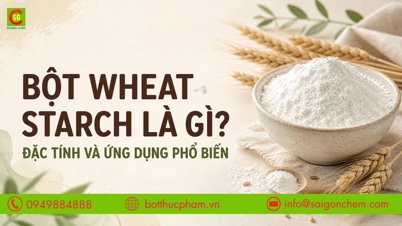 Bột Wheat Starch Là Gì? Đặc Tính Và Ứng Dụng Phổ Biến
