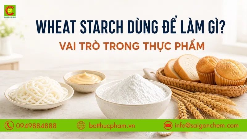 Wheat Starch Dùng Để Làm Gì? Vai Trò Trong Thực Phẩm