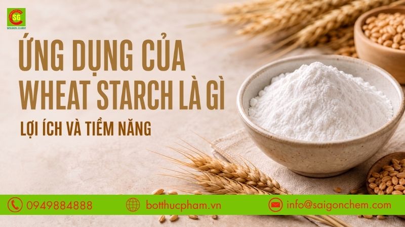 Ứng Dụng Của Wheat Starch Là Gì Và Lợi Ích Ra Sao?