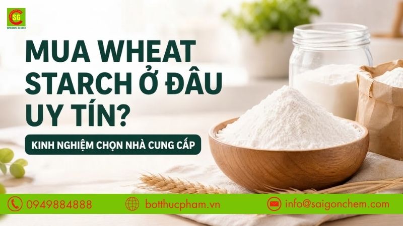 Mua Wheat Starch Ở Đâu? Kinh Nghiệm Cho Những Ai Cần
