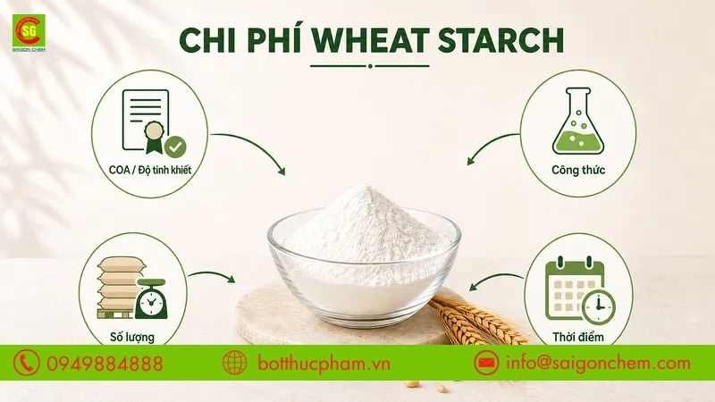 C&aacute;c yếu tố ảnh hưởng đến gi&aacute; Wheat Starch