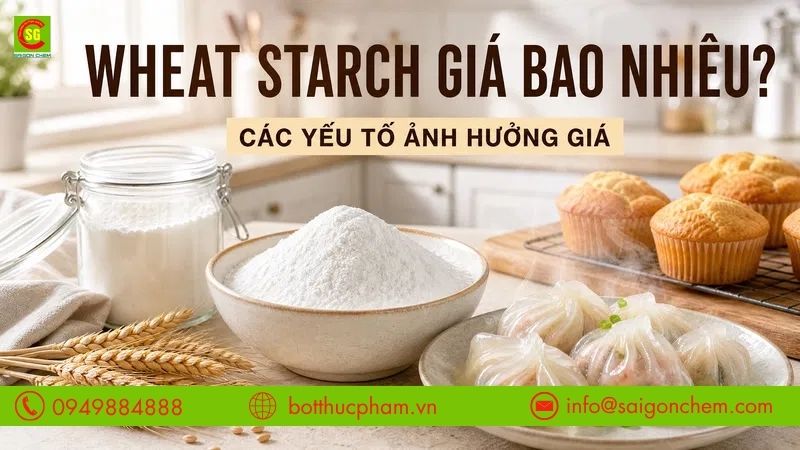Wheat Starch Giá Bao Nhiêu? Những Điều Ảnh Hưởng Đến Chi Phí?