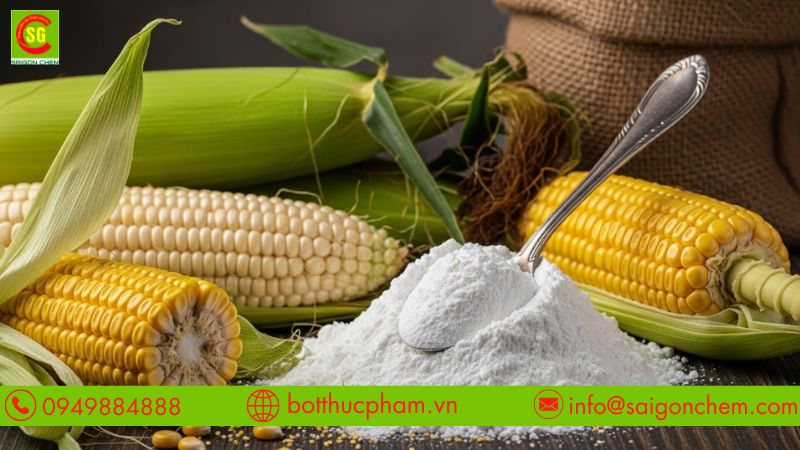 Giúp tạo kết cấu và ổn định sản phẩm