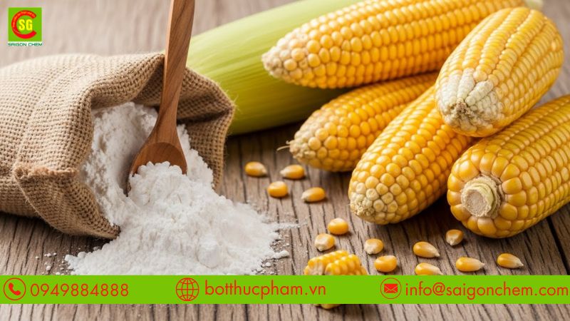 TINH BỘT BẮP VÀ ỨNG DỤNG TRONG SẢN XUẤT THỰC PHẨM