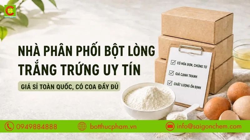 Nhà Phân Phối Bột Lòng Trắng Trứng Uy Tín, Giá Sỉ Toàn Quốc