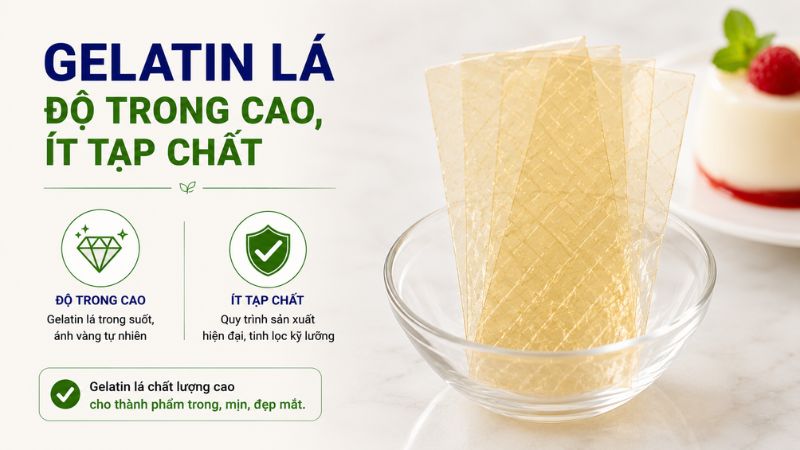 Gelatin l&aacute; c&oacute; độ trong cao, &iacute;t tạp chất. 