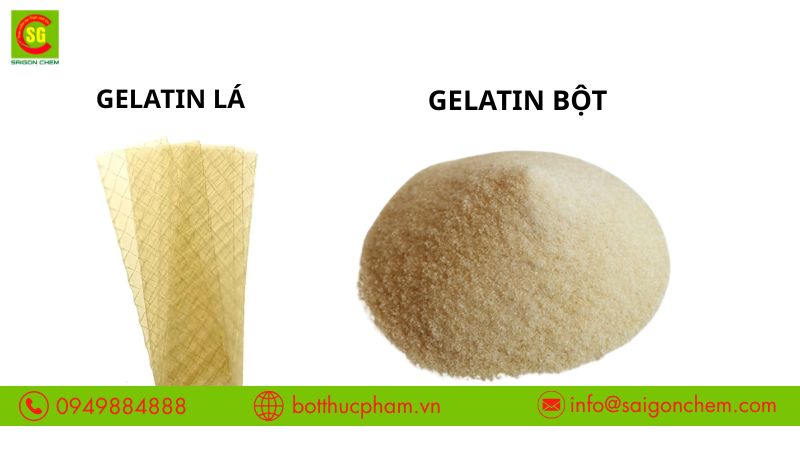 Gelatin Lá Là Gì? Khác Gì Gelatin Bột? Cách Dùng Chuẩn
