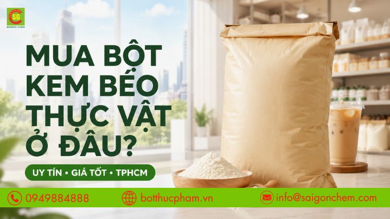 Mua Bột Kem Béo Thực Vật Ở Đâu Uy Tín, Giá Tốt Tại TPHCM? 