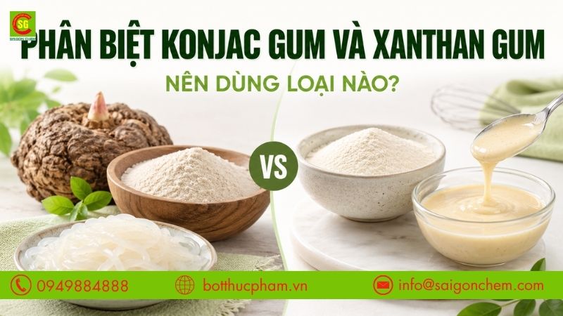 Phân Biệt Konjac Gum Và Xanthan Gum: Nên Dùng Loại Nào?