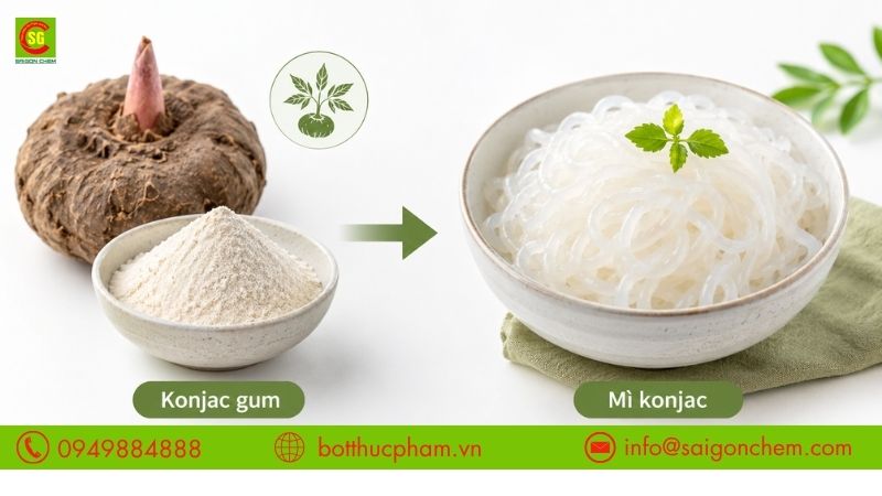 M&igrave; Konjac l&agrave; g&igrave;?