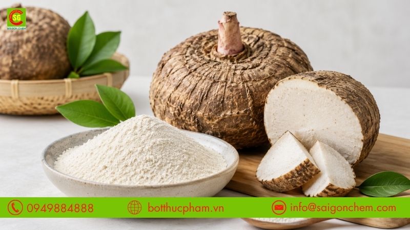 Konjac Gum Trung Quốc l&agrave; g&igrave;?