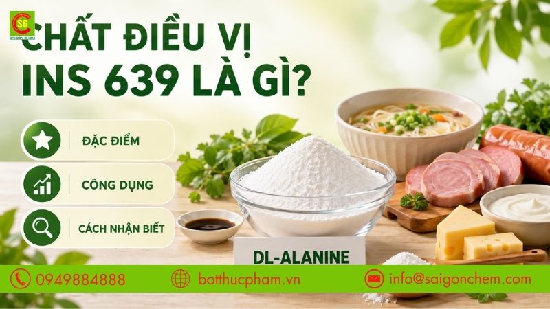Chất Điều Vị INS 639 Là Gì? Đặc Điểm, Công Dụng Và Cách Nhận Biết