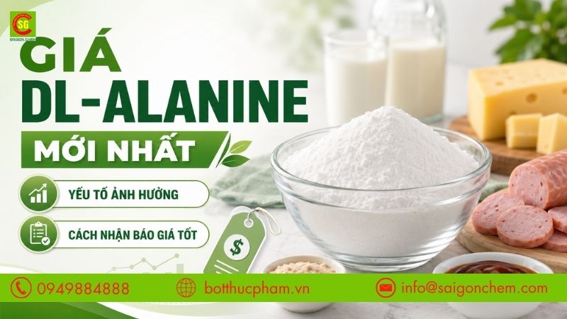 Giá DL-Alanine Mới Nhất – Yếu Tố Ảnh Hưởng Và Cách Nhận Báo Giá Tốt