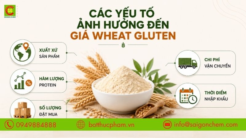 C&aacute;c yếu tố ảnh hưởng đến gi&aacute; wheat gluten
