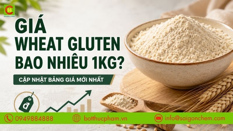 Giá Wheat Gluten Bao Nhiêu 1kg? Cập Nhật Bảng Giá Mới Nhất