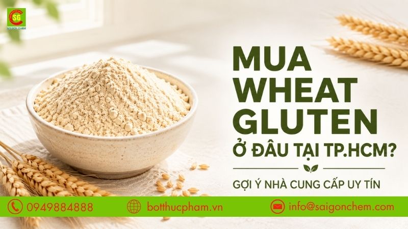 Mua Wheat Gluten Ở Đâu Chất Lượng, Uy Tín Tại TP.HCM?