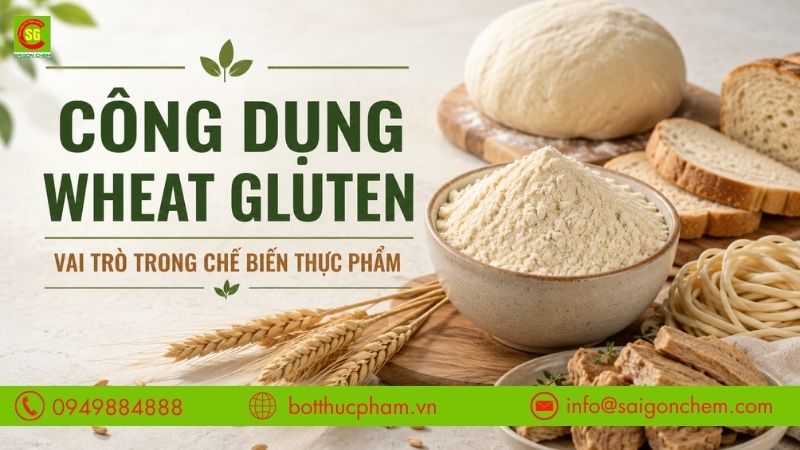 Công Dụng Wheat Gluten: 7 Vai Trò Trong Chế Biến Thực Phẩm