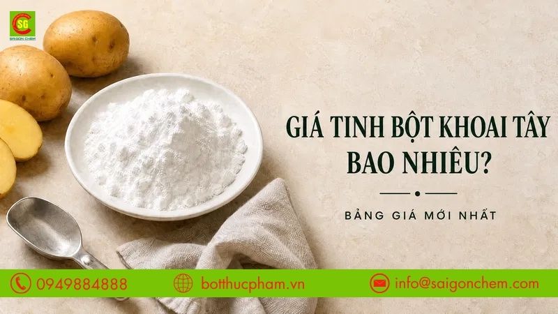 Giá Tinh Bột Khoai Tây Bao Nhiêu? Bảng Giá Tham Khảo Mới Nhất
