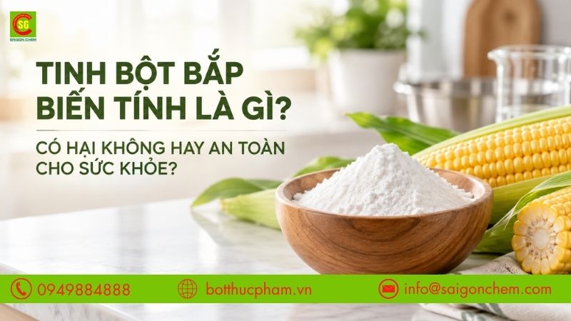 Tinh Bột Bắp Biến Tính Là Gì? Có Hại Không Hay An Toàn Cho Sức Khỏe?