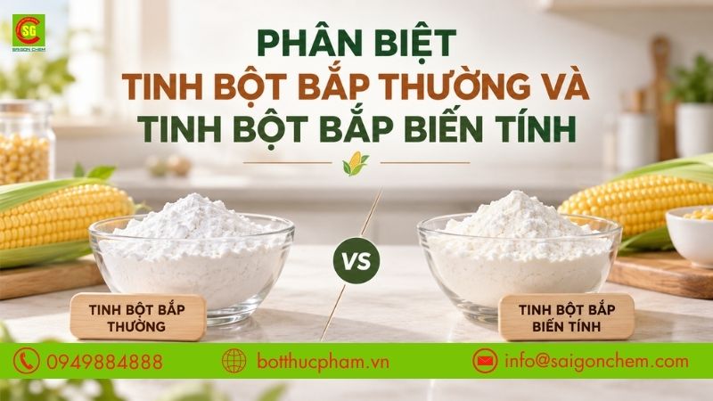 Phân Biệt Tinh Bột Bắp Thường Và Tinh Bột Bắp Biến Tính: Khi Nào Nên Dùng Loại Nào?