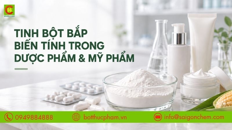 Tinh Bột Bắp Biến Tính Trong Dược Phẩm & Mỹ Phẩm: Tá Dược An Toàn, Ứng Dụng Đa Ngành