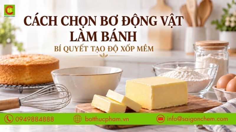 Cách Chọn Bơ Động Vật Làm Bánh Chuẩn Vị: Bí Quyết Tạo Độ Xốp Mềm Cho Thợ Bánh