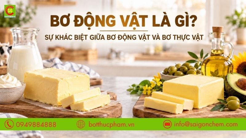 Bơ Động Vật Là Gì? Sự Khác Biệt Giữa Bơ Động Vật Và Bơ Thực Vật Trong Chế Biến